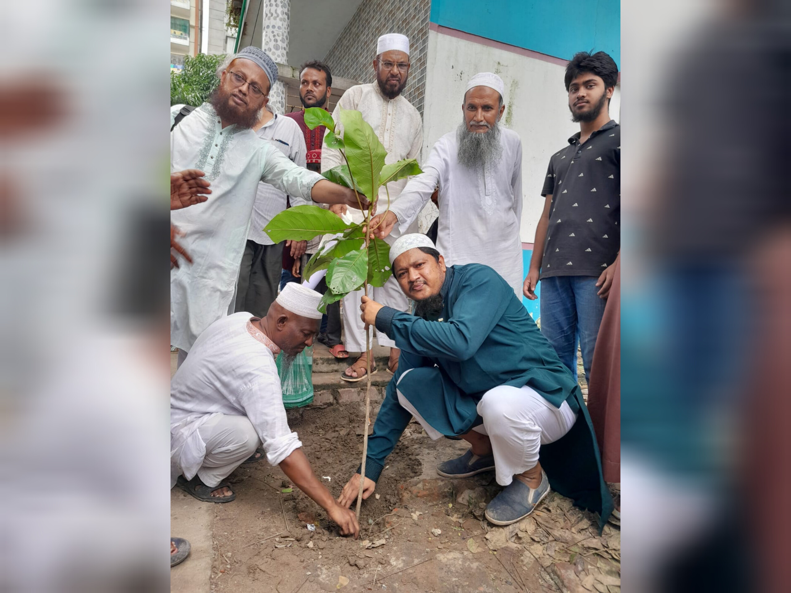 গাছ শুধু রোপন করলেই হবে না এটিকে পরিচর্যা করে বাঁচিয়ে রাখতে হবে — মাওলানা আবদুল জব্বার