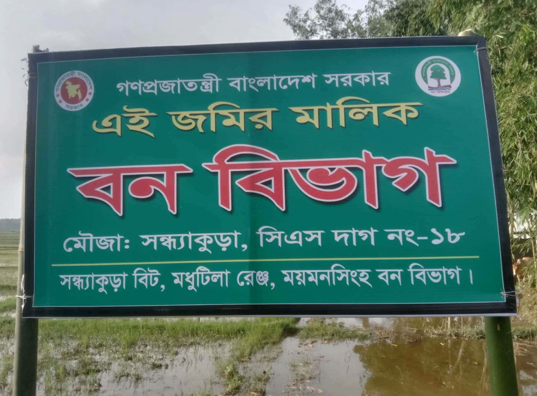 শেরপুরের ঝিনাইগাতীতে উদ্ধারকৃত বনের জমি ফের বেদখল 
