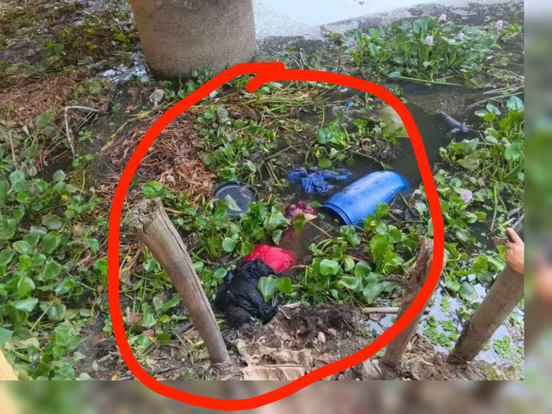শ্রীবরদীতে ব্রিজের নিচে ড্রাম থেকে অজ্ঞাত নারীর লাশ উদ্ধার